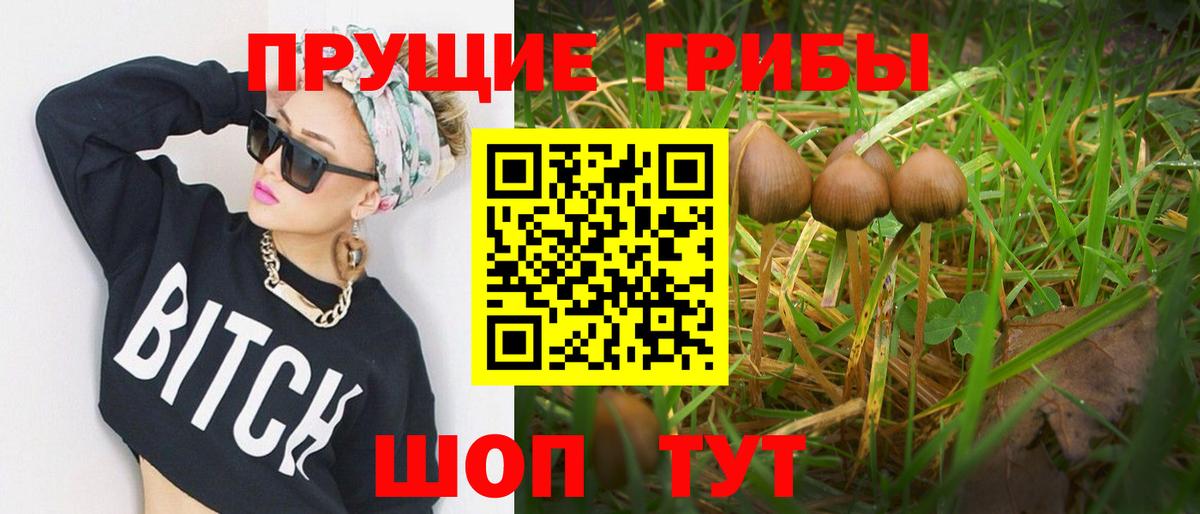 Псилоцибиновые грибы MAGIC MUSHROOMS Тверь