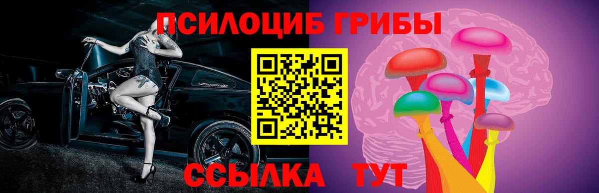 Тверь  Галлюциногенные грибы Psilocybine cubensis  Вход с VPN 