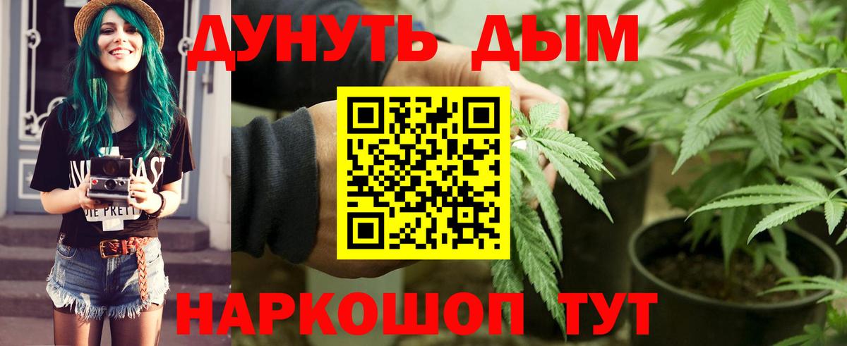 Бошки марихуана Bruce Banner Тверь